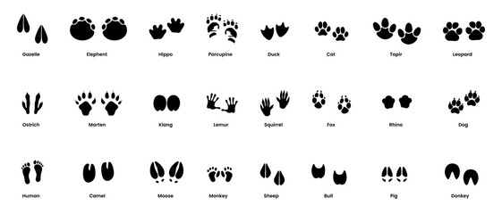 Wild Animals Footprints Silhouette Black Filled - Vector Illustration Icon.