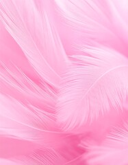 Obraz premium Soft pink feather texture background