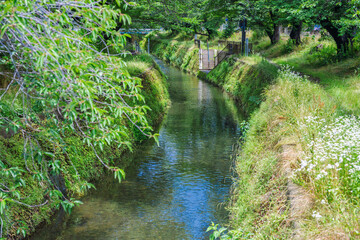 引地川河川敷の遊歩道