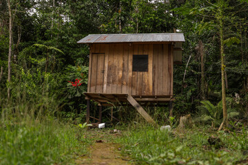wood cabin on stilts in the jungle