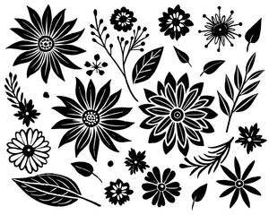 Fototapeta premium Black and White Floral Elements Collection flower botanical