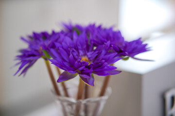 A bunch of vibrant purple flowers, likely water lilies, arranged in a clear glass vase. The background is softly blurred, highlighting the flowers as the main focus.