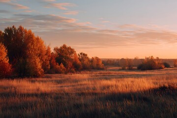 Obraz premium 2. Autumn field at sunset, golden horizon with trees glowing in warm hues of orange and red 