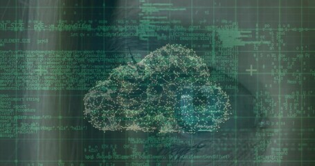 Animation of digital cloud, online security padlock and data processing - Powered by Adobe