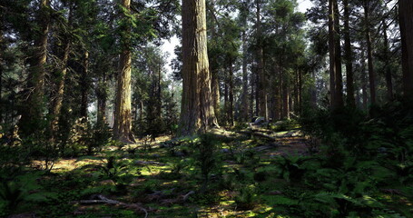 Obraz premium A dense forest featuring towering trees and vibrant undergrowth. Sunlight filters through the branches, creating a serene atmosphere filled with natural beauty and tranquility.
