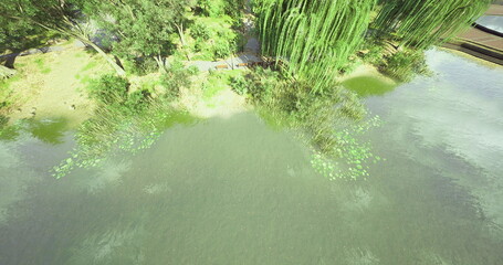 Lush greenery surrounds a peaceful oasis, where calm waters mirror the vibrant landscape. Sunlight bathes the area, creating a serene escape from daily life.