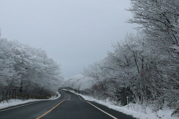 jeju hallasan winter