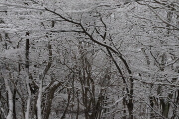 jeju hallasan winter