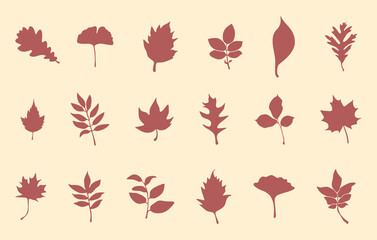 Autumn leaves silhouette collection in white background, Autumn leaves svg, Autumn silhouettes, Fall leaves svg bundle, Fall leaves vector. 
