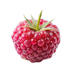Close up shot of a ripe and juicy raspberry, macro details