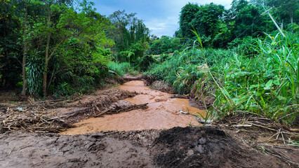Muddy Flash Flood Stream with Debris in Forest