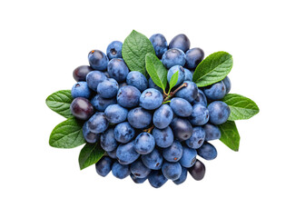 Fototapeta premium A Heap of Fresh Blueberries with Green Leaves on a White Background