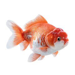 Realistic depiction of vibrant goldfish swimming in a clear water environment showcasing detailed scales and fins