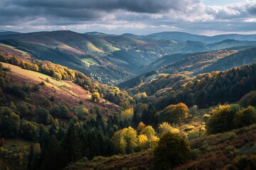 Naklejka premium 20. Rolling autumn hills with mixed forests, soft clouds casting shadows across the vibrant land 