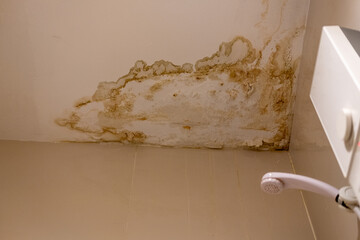 Bathroom ceiling with visible moisture stains showing dampness, humidity, and water damage