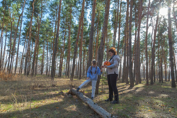 Fototapeta premium Grandmother and granddaughter walking with a ball in the forest in sunny day.