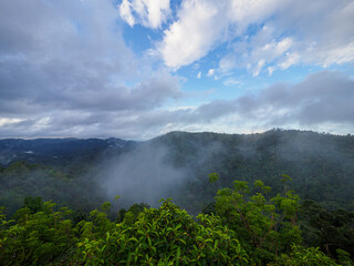 Pha Phaya Mai, a cliff in a valley and morning mist