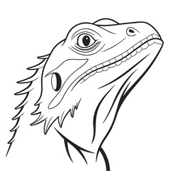 head of the head of a dragon