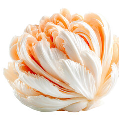 Delicate Layered Floral Arrangement in Soft White and Peach Tones on a Bright Background
