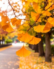 オレンジ色のイチョウの葉をクローズアップで撮影した写真です。
枝に揺れる葉が秋の季節感を演出し、背景の公園の小道は柔らかくぼけています。