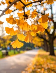 オレンジ色のイチョウの葉をクローズアップで撮影した写真です。
枝に揺れる葉が秋の季節感を演出し、背景の公園の小道は柔らかくぼけています。