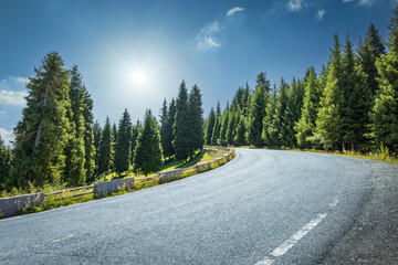 Winding asphalt road passing through a beautiful and lush green pine forest on a bright sunny day.