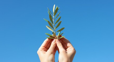 Hope and Nature: Hands with a Green Olive Branch