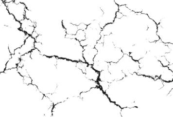 Dark, intricate crackle pattern on black background