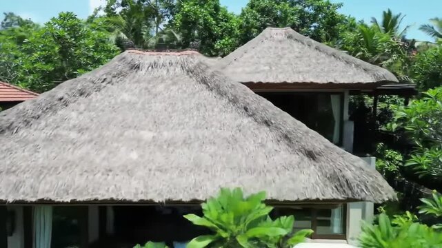 thatched roof house