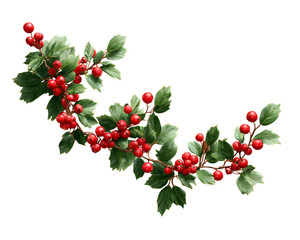 Holly plant, holiday decoration Christmas garland with red berries