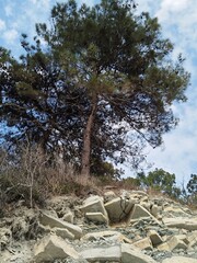 nature, sea, rocks, mountains, cape, summer