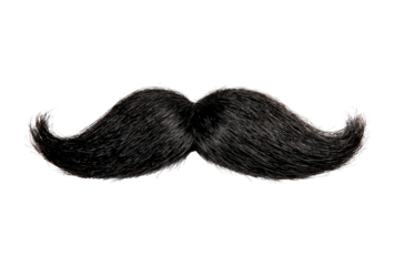 Full black handlebar mustache against black
