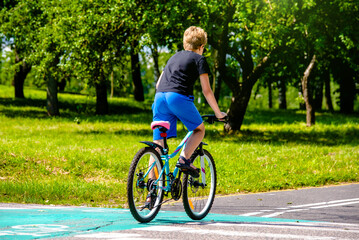 Cyclist ride on the bike path in the city Park
