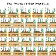 Wooden crates filled with fresh potatoes and green onion stalks. Seamless vegetable basket pattern, organic farm harvest, healthy food, farmers market, and eco-friendly farming concept
