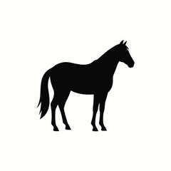 Fototapeta premium standing horse silhouette vector, horse profile flat illustration, calm horse black outline, farm animal horse vector
