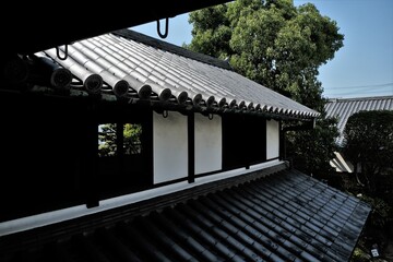 日本、大阪、旧杉山家住宅、庭園、お屋敷、重要文化財、富田林市、歴史的建造物、木造階建、和風住宅