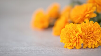Festive Bright marigolds decorating a traditional festival setting, bringing color and vibrancy