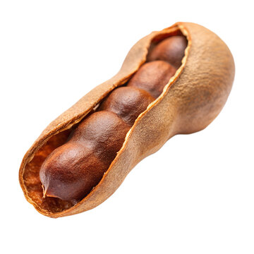 A ripe tamarind pod, split open to reveal the sweet and sour pulp and seeds inside, isolated on a transparent background
