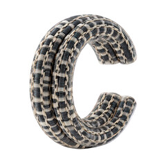 3D Render of Intricate Textured Metallic Letter C