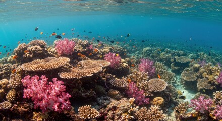 Naklejka premium Vibrant coral reef teeming with fish and soft corals under clear blue water