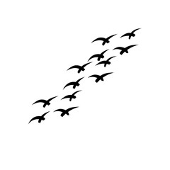 Vector bird silhouettes representing wildlife, freedom, and natural beauty.