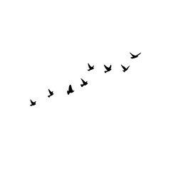Flying bird vector shapes, ideal for icons, patterns, and decorative graphics.