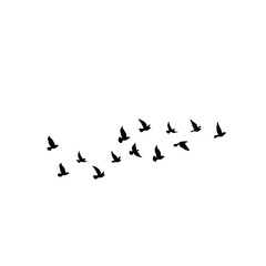 Flying bird vector shapes, ideal for icons, patterns, and decorative graphics.