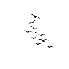 Flock of birds in flight vector illustration, ideal for wildlife and decorative designs.