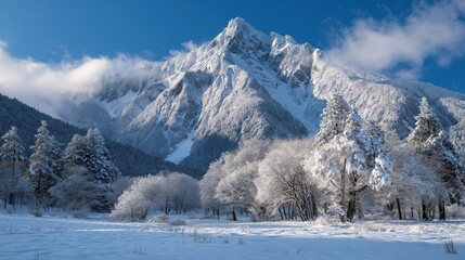 Winter Mountain Snow Forest Scenery: Magnificent Snow - Capped Peaks and Snow - Covered Trees in a Quiet Winter Landscape