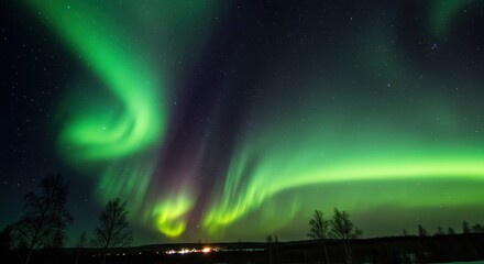 Vibrant green and purple aurora borealis over a snowy landscape with trees
