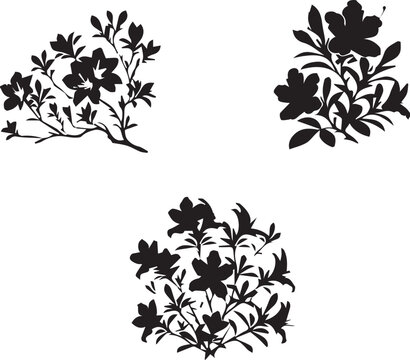 Azalea Flower silhouette vector on white background