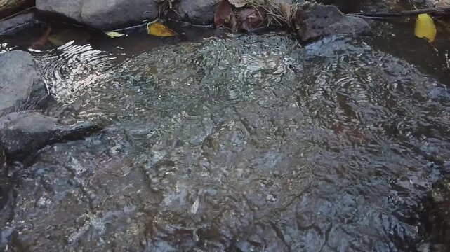 4K slow-motion footage of a rock thrown into a creek, creating a dramatic splash. Ideal for nature videos, action effects, or cinematic projects. Shot in H.264, 9s.License this dynamic stock footage!