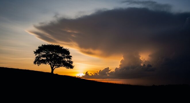 sunset and tree, silhouette, landscape  - Powered by Adobe