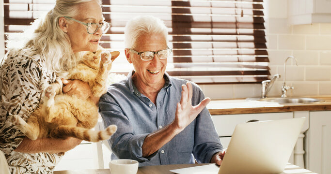 Laptop, video call and elderly couple with cat, wave or web communication in kitchen for connection. Happy, network or senior people in retirement with tech, animal or conversation for social media